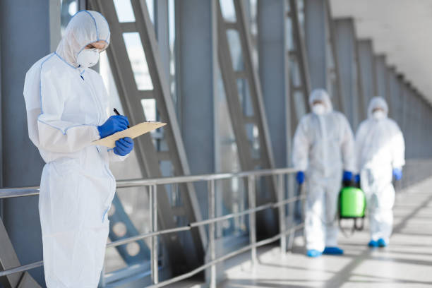 Dehumidification Services in Boonton, NJ
