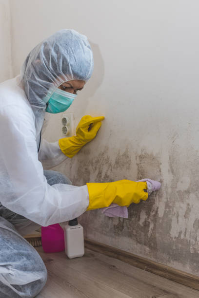 Best Forensic Mold Investigation  in Boonton, NJ