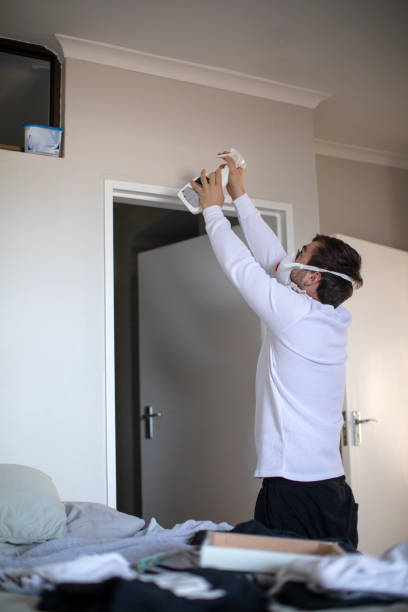 Best Water Damage & Mold Remediation  in Boonton, NJ
