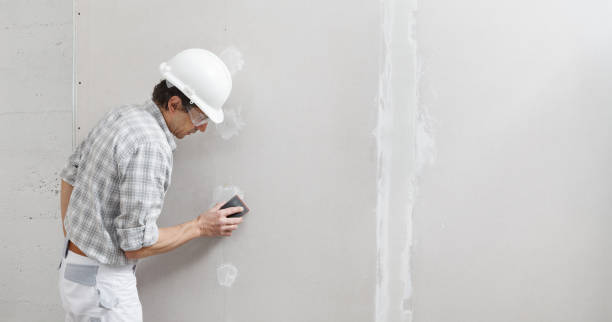  Boonton, NJ Mold Removal Pros