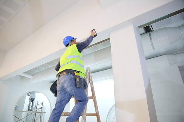 Boonton, NJ Mold Removal Company